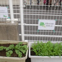 宮久保幼稚園０１２（４週目の園生活）