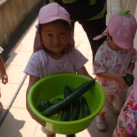 宮久保幼稚園012（７月第５週）